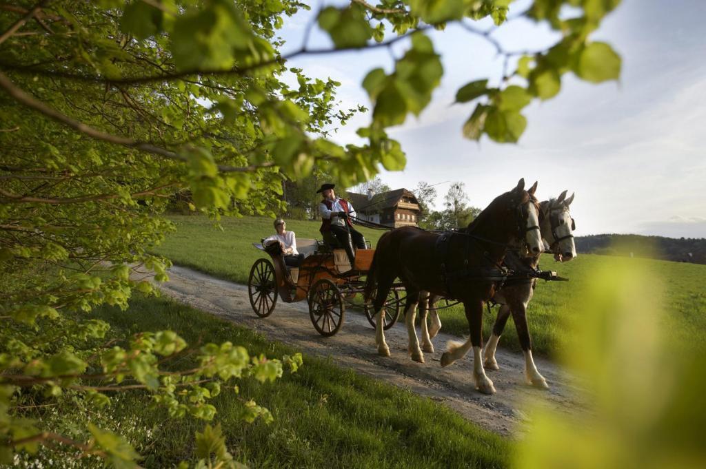Ferienhaus Troadkasten - Familie Friedrich Hartberg Buitenkant foto